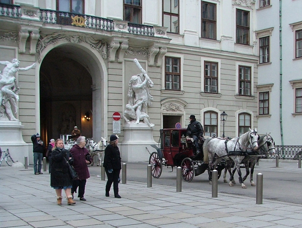 austria-vienna_coaches