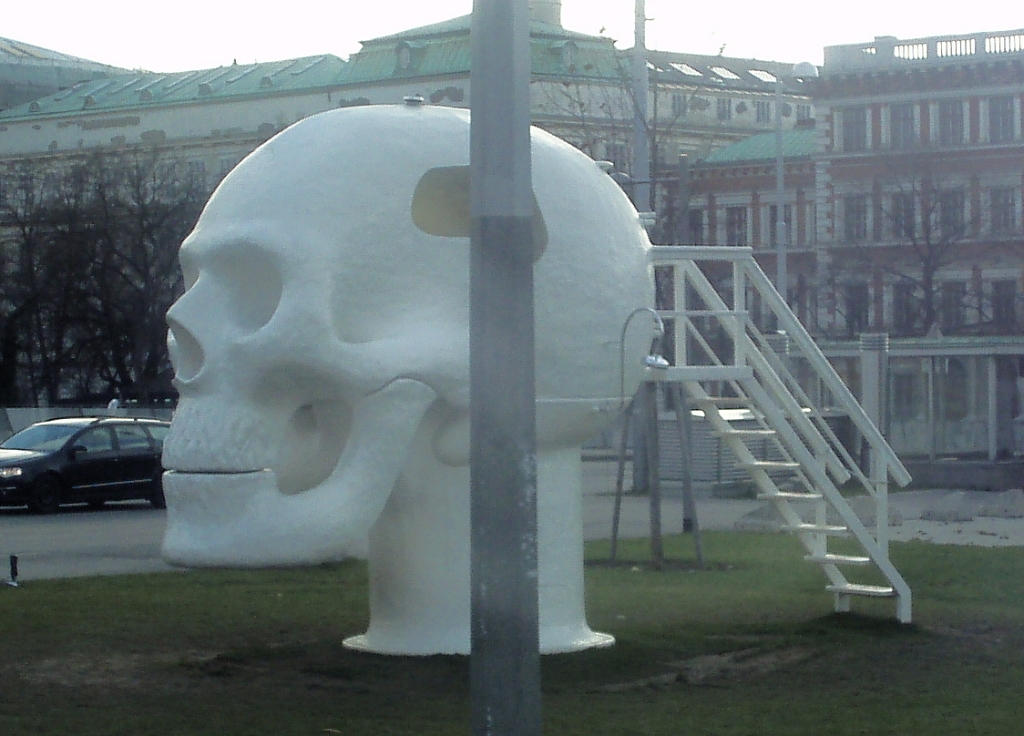 austria-vienna_skull