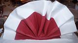 austria-christmas_napkin