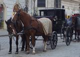 austria-vienna_coach_and_horses
