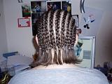 natasha's_well_rad_super_cool_hair_cut