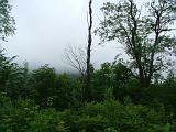 usa_june_2008_conway_rr_trees_and_fog