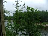 usa_june_2008_conway_rr_trees_as_usual